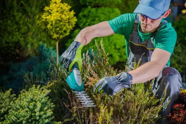landscaping services Fairborn